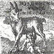 Wind Of The Black Mountains : Forcefed into Blasphemy Wind Of The Black Mountains : Forcefed into Blasphemy